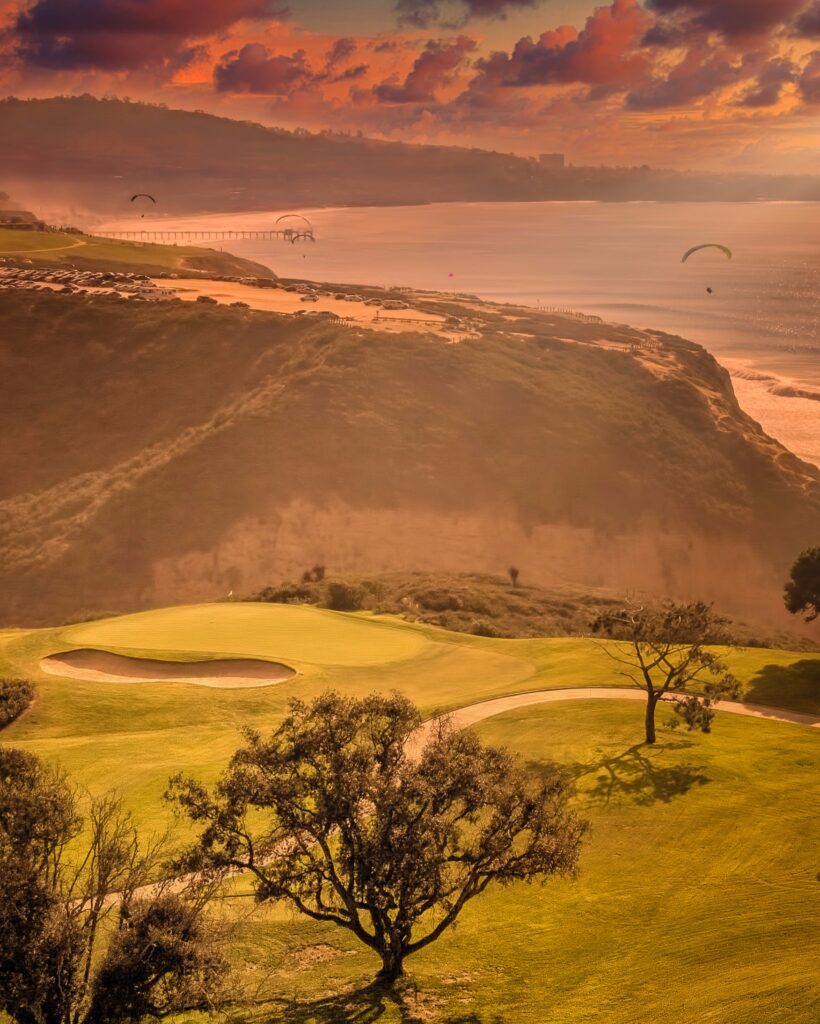 torrey pines golden